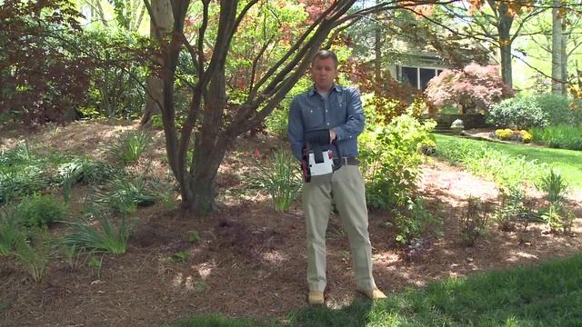 Oregon Pro tip, chainsaws смотреть онлайн
