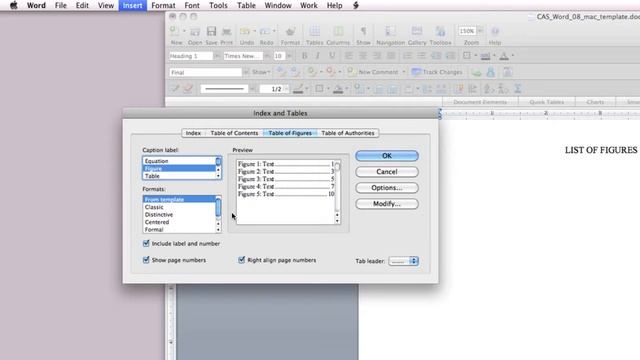 TAD MAC Creating Auto List of Tables Figures смотреть онлайн