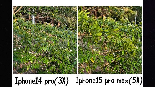 IPHONE 15 pro max vs IPHONE 14 pro | DON’T Buy 15 pro max смотреть онлайн