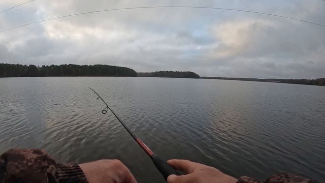 Ловим окуней на отводной поводок и подбираем твистер. Активность окуней осенью, ZEMEX SPIDER Z-10 смотреть онлайн