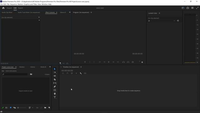 How To Record Voice Overs in Premiere Pro Tutorial смотреть онлайн