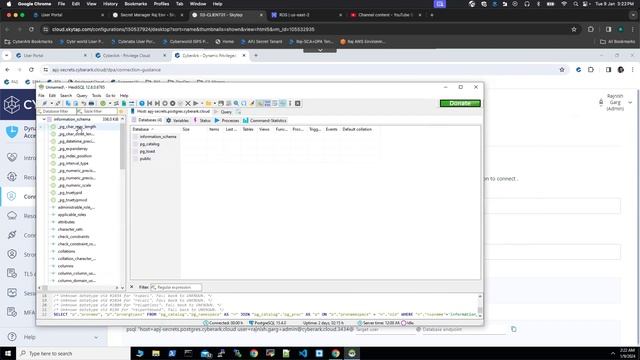 DPA Postgres Vaulted Credentials (Client- HeidiSQL) смотреть онлайн