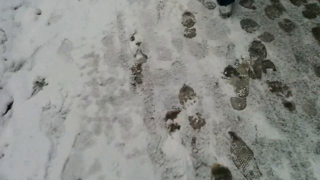 Getting snow on my macbook смотреть онлайн