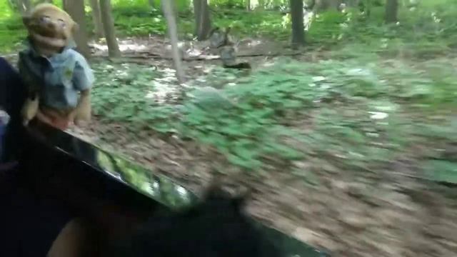 Summer Vacation part 4: Milwaukee County Zoo смотреть онлайн