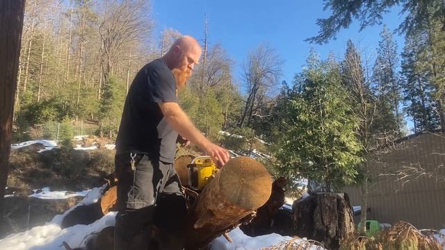 First time in the wood for the Pro Mac 10-10. Cutting and tuning смотреть онлайн