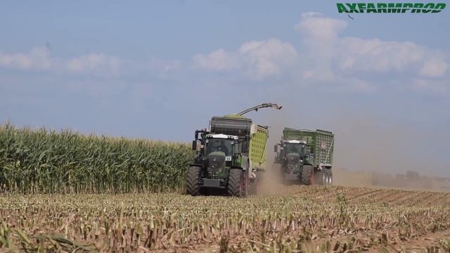Ensilage maïs XXL - 4 Claas jaguar, 25 Fendt - Steyns смотреть онлайн