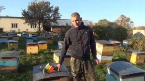 500+ Обработка от клеща щавельной кислотой сублиматором.