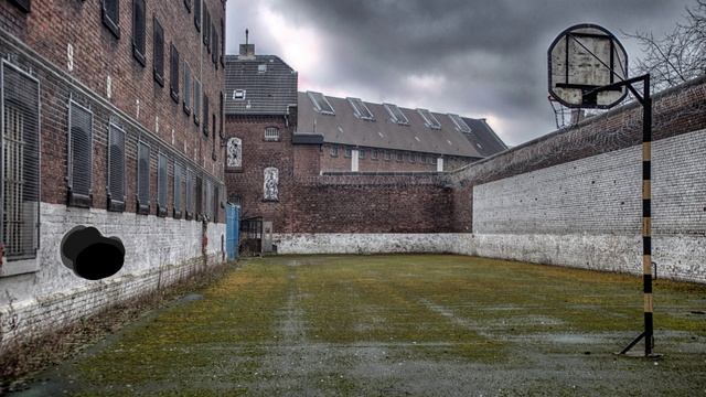 %D0%A2%D1%80%D0%B5%D0%B9%D0%BB%D0%B5%D1%80.mp4