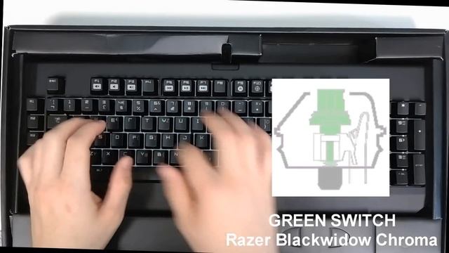Cherry Mx Switch test (Mx Brown, Mx Blue, Mx RED, MX Black, Razer Switch and Apex membrane) смотреть онлайн