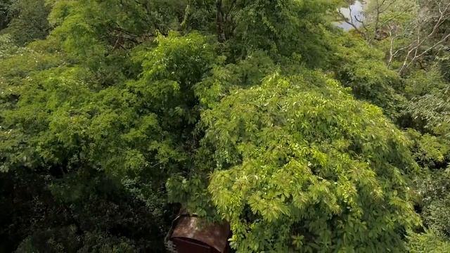 Hotel Maquenque Eco Lodge смотреть онлайн