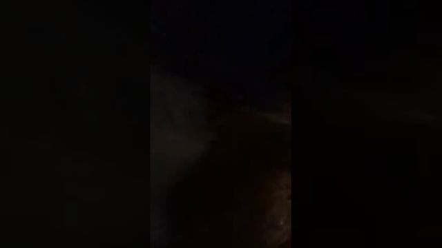 Me and my friend Fleur walking home at night..... смотреть онлайн