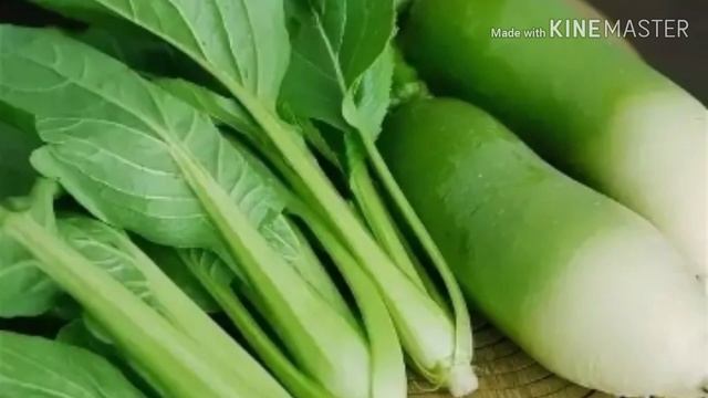 УПКА шамоллаши ва ЮТАЛНИ дорисиз ДАВОЛАШ. смотреть онлайн