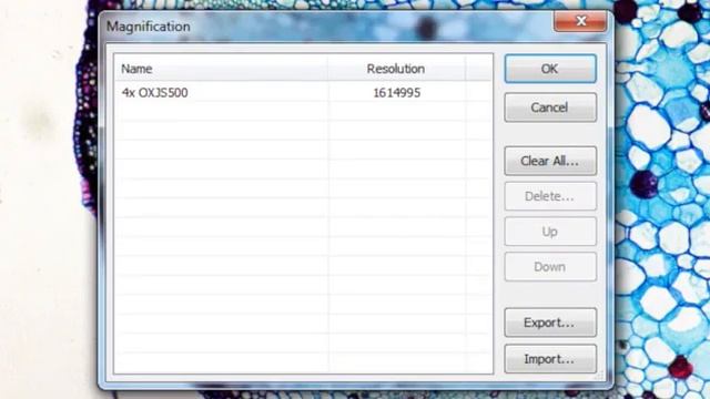 ToupView X Tutorial How to Calibrate and Apply Scale Bar смотреть онлайн