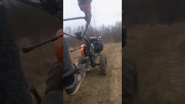 Oleo-Mac Mh 197 Rk смотреть онлайн