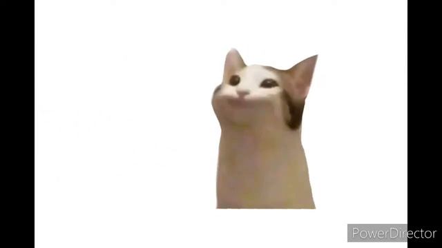pop cat download link (im so sorry for copying) смотреть онлайн
