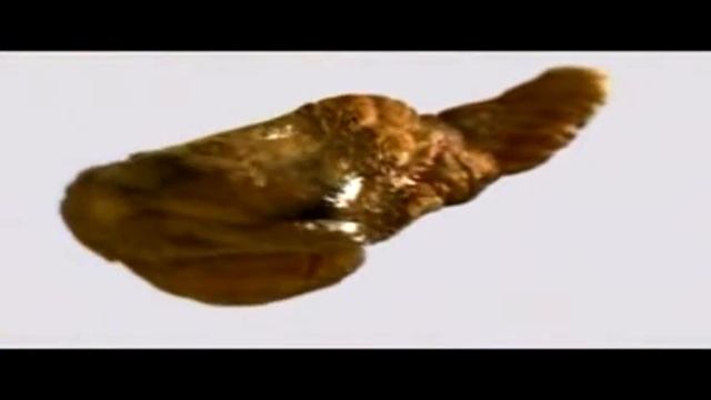 Алкоголь сильнее, чем ты думаешь смотреть онлайн