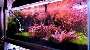 аквариум 160л, сойл Иста на водопроводе, год использования.