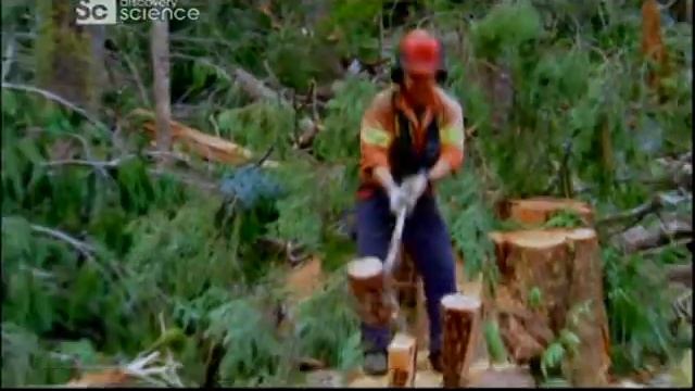 музыка Discovery