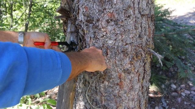 Knipex Carpenters' End Cutting Pliers (5001210) are great for cutting, pinching, nipping, & pulling смотреть онлайн