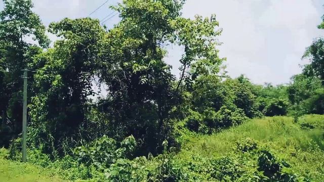 Today's video is for at our grandmother house, And enjoy my video ☺️ смотреть онлайн