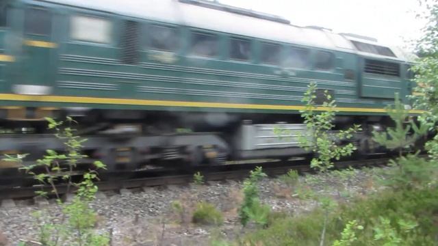 Скорый поезд из двух вагонов смотреть онлайн
