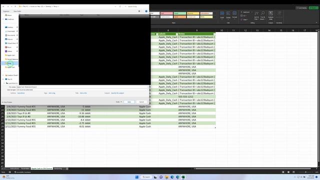 Import Apple Cash Transactions Into Quicken or Mint.com (CSV Format) смотреть онлайн