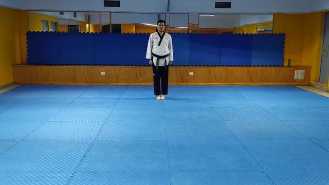 Participación final -40 Danes Elite Copa Fenix - Luis Alfredo Morales Marchant смотреть онлайн