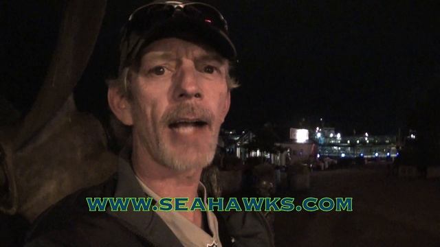 12th Fan View on seahawks.com смотреть онлайн