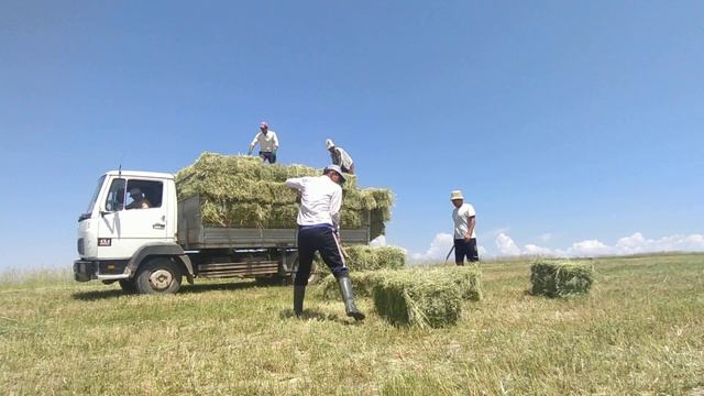 Жаны Техника озу чоп жуктоп жатат смотреть онлайн
