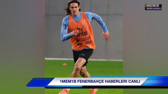 FENERBAHÇE FORVET TRANSFERINI AÇIKLIYOR! ISTANBULA GEL! смотреть онлайн