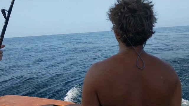 2018 White Marlin Open Longfin maco shark release смотреть онлайн