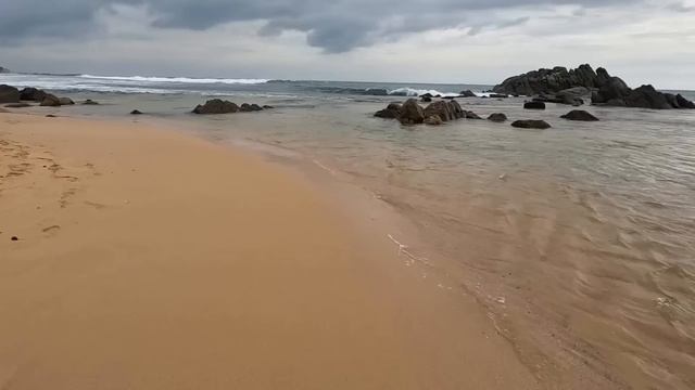 #2 Шри-Ланка конфликт с местными. УВИДЕЛИ ОГРОМНУЮ ЧЕРЕПАХУ. Берем местную еду НОУ СПАЙСИ говорили. смотреть онлайн