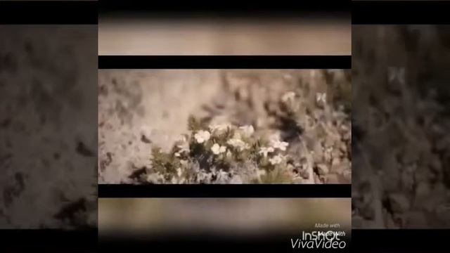 Андрей Леницкий "Дышу тобой" смотреть онлайн