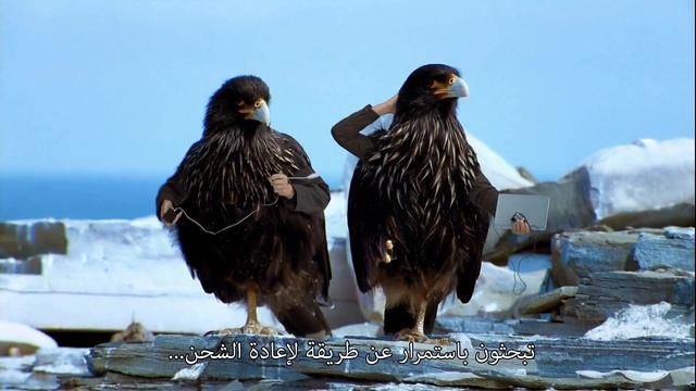 The World’s Most Modern Bird: ASUS T100 - #onthefly смотреть онлайн