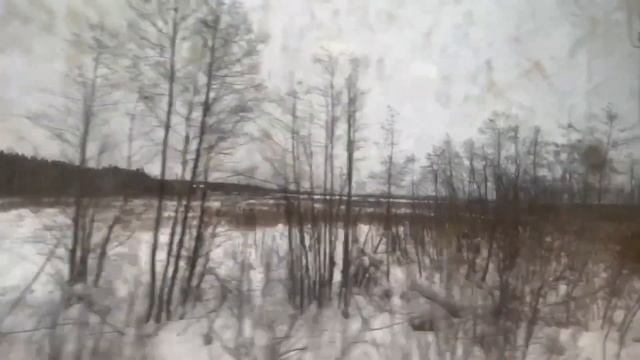 БМО!Ст.Орехово-Зуево - ст.Дулёво (из окна электропоезда) смотреть онлайн
