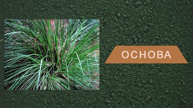 DEBONAIR каталожен № 42726 / Automatically English subtitles смотреть онлайн