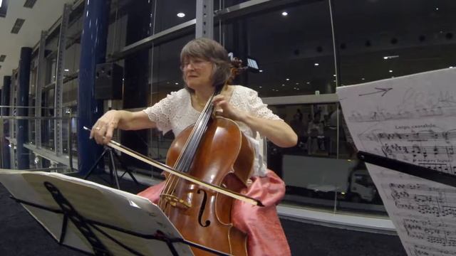 Francois Francoeur: Two movements from Sonata in e-major for cello and bassoon. Rust-Edelmann смотреть онлайн