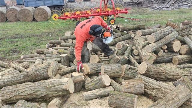 10 m3 akác összevágása Stihl MS462 / Echo Cs4310-SX / Oleo Mac GS451 50y смотреть онлайн