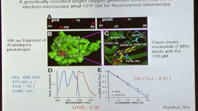 Roger Y. Tsien Distinguished Lecturer Series 2010 Part 1 of 5 смотреть онлайн