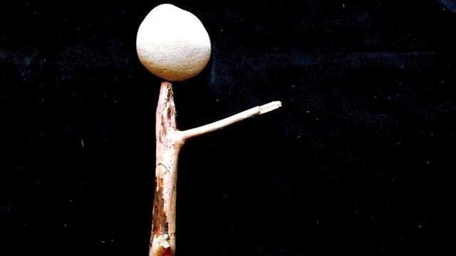 "Why Sitka?" by Kim Stafford, 2009 смотреть онлайн