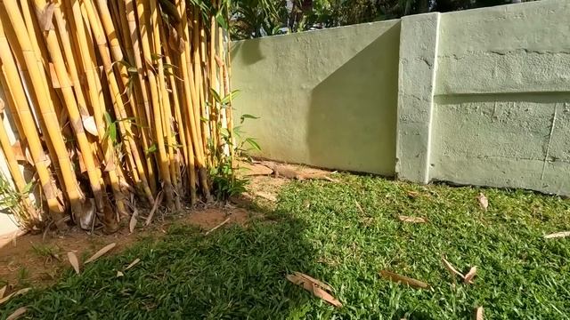 НУ ВОТ И ВСЁ..... ПОРА В РОССИЮ..... ДЕНЬГИ ЗАКОНЧИЛИСЬ....... смотреть онлайн