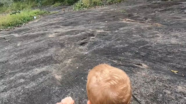 #4 Сигирия ЭТО НЕВОЗМОЖНО говорили они. УБЕГАЕМ ОТ ДИКИХ СЛОНОВ. Дамбулла ДА УЖ. Вот это сняли жилье смотреть онлайн