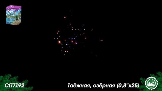 СП7192 смотреть онлайн