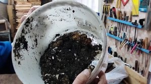 Делаю настойку для чистки сосудов.