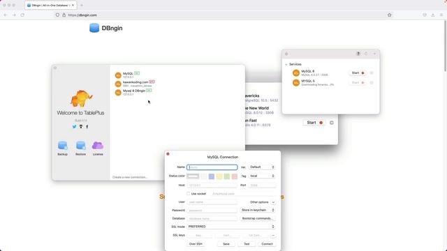 Review Software - DBngin (Database Version Management Tool) смотреть онлайн
