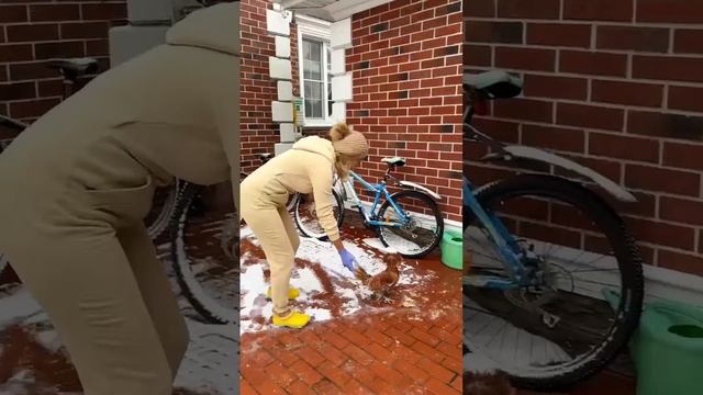 Мои курочки переезжают в зимний курятник смотреть онлайн