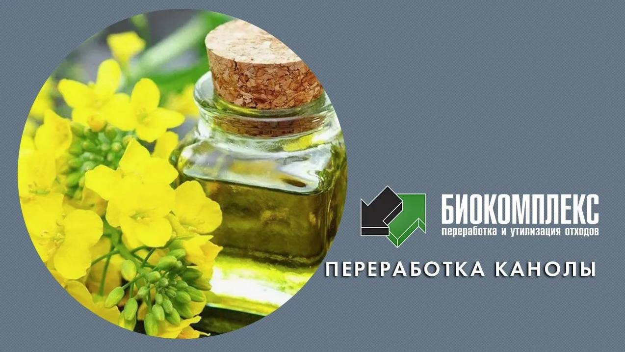Переработка канолы смотреть онлайн