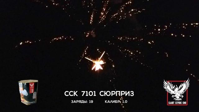 ССК 7101  Сюрприз