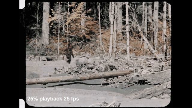 4K 100fps | Bigfoot - Patterson-Gimlin Footage