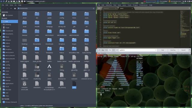 ArcoLinux : 882 how to add the aliases from bashrc to zshrc смотреть онлайн